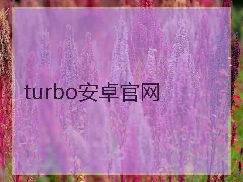 turbo安卓官网