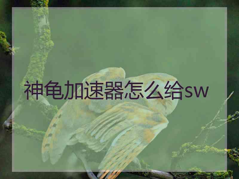 神龟加速器怎么给sw