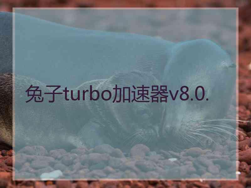 兔子turbo加速器v8.0.