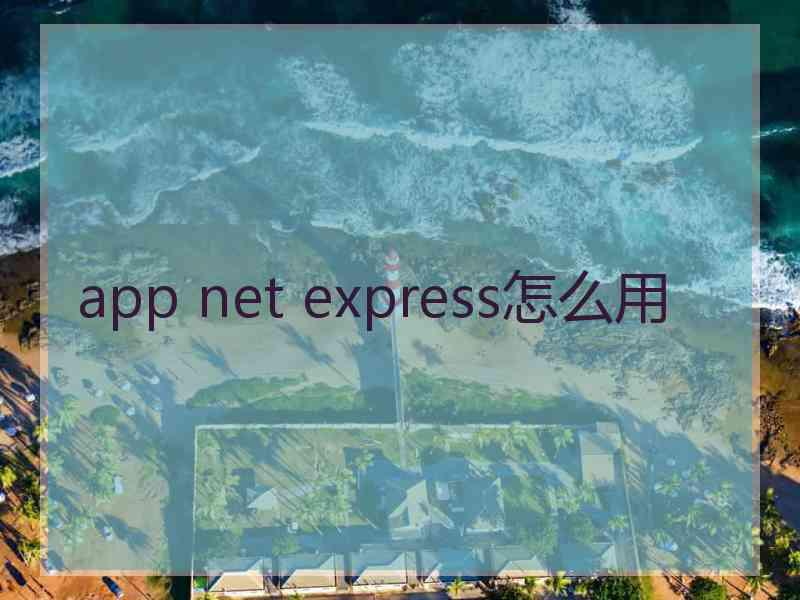 app net express怎么用