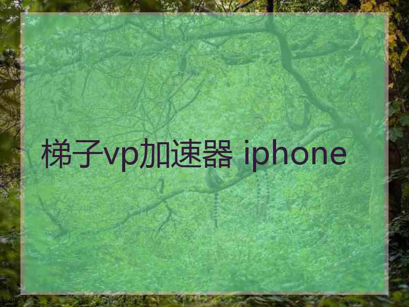 梯子vp加速器 iphone