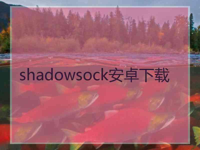 shadowsock安卓下载