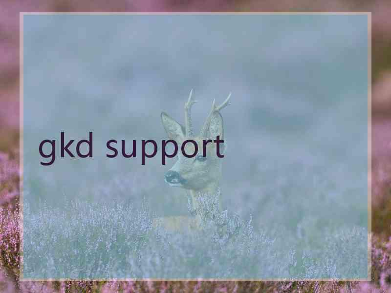 gkd support