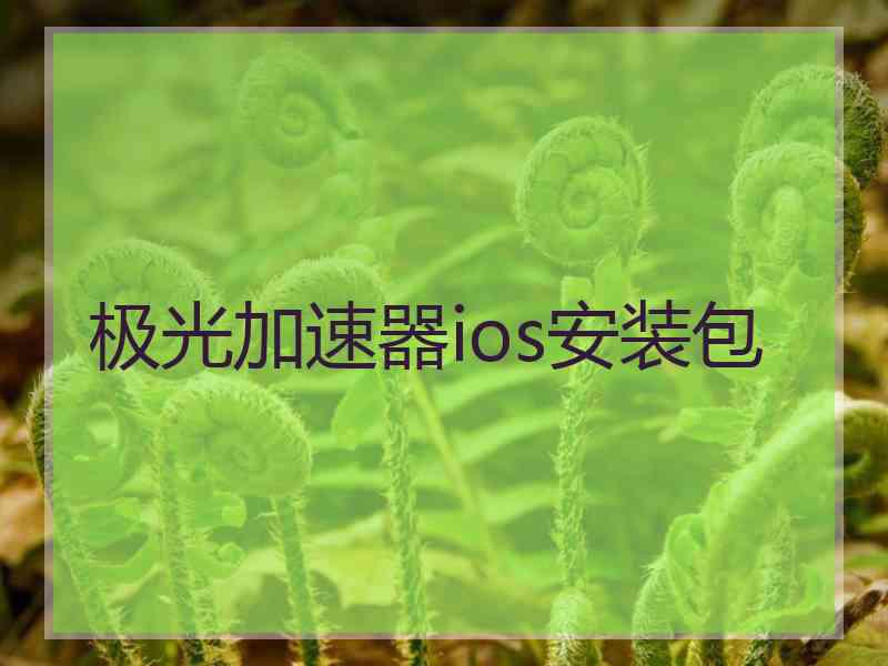 极光加速器ios安装包