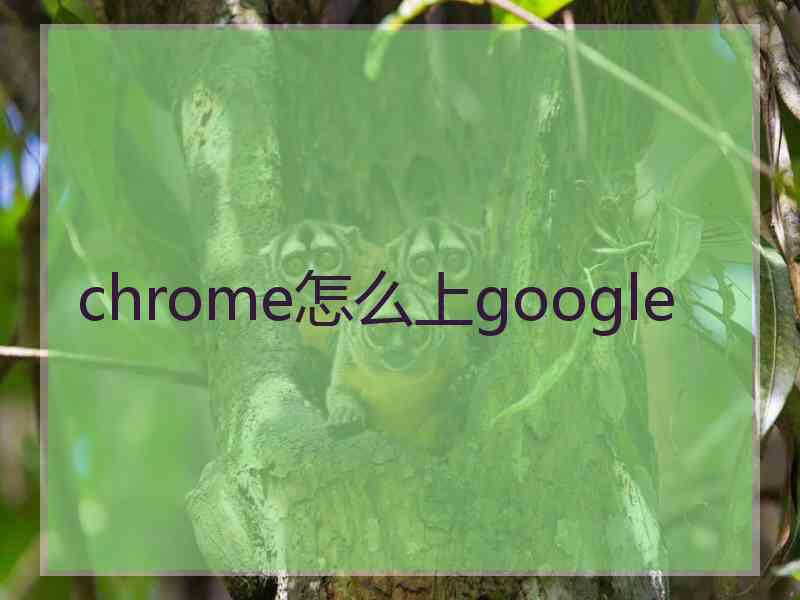 chrome怎么上google