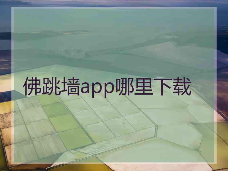 佛跳墙app哪里下载