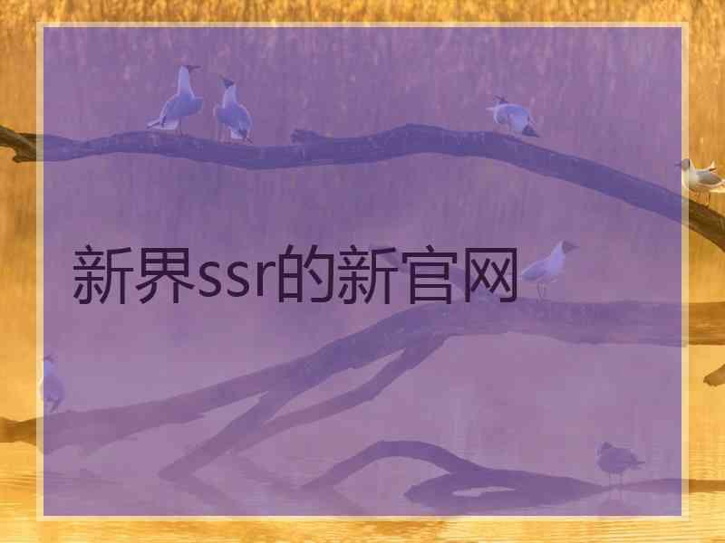 新界ssr的新官网