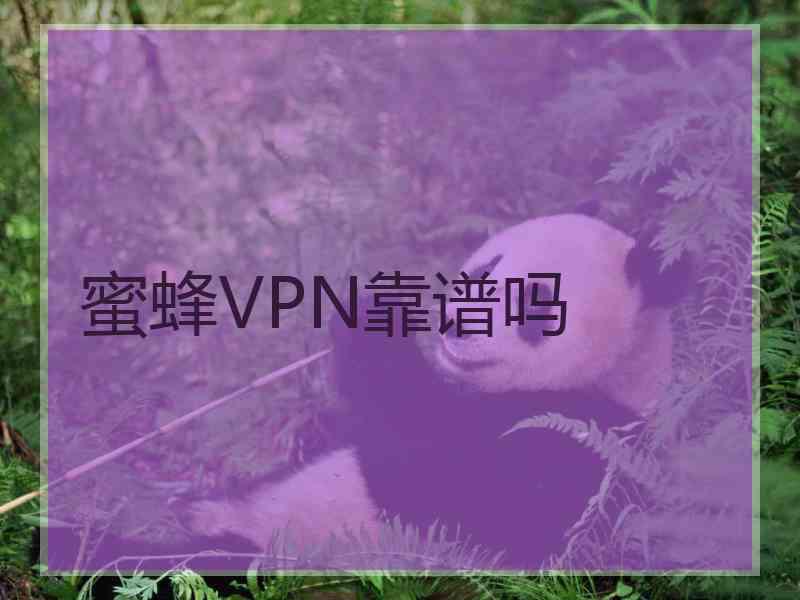 蜜蜂VPN靠谱吗