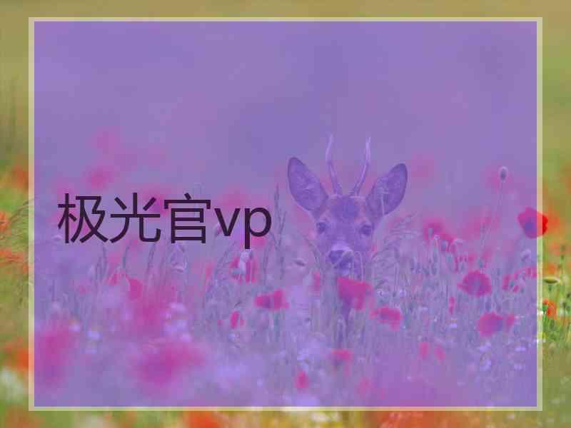 极光官vp