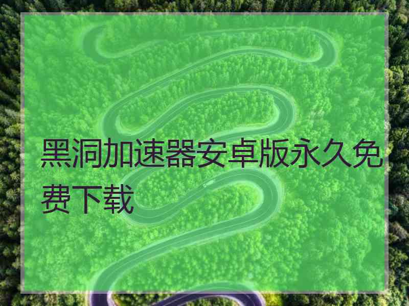 黑洞加速器安卓版永久免费下载