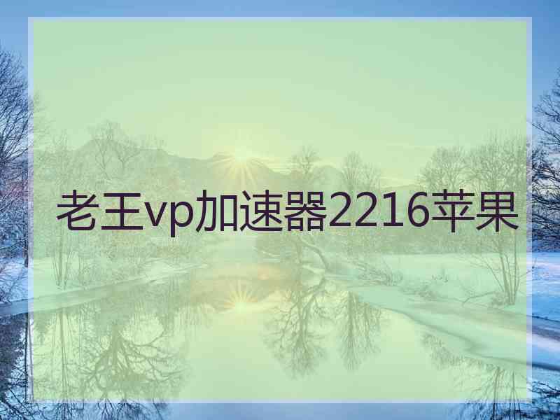 老王vp加速器2216苹果