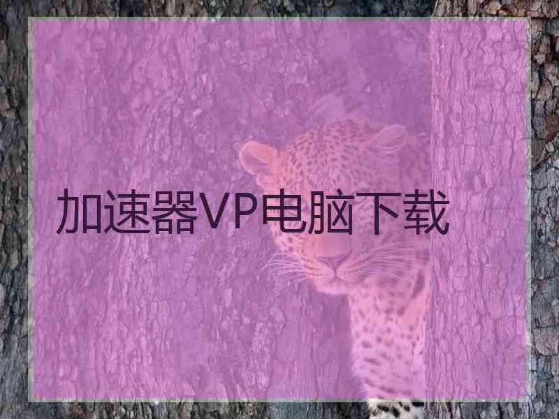 加速器VP电脑下载