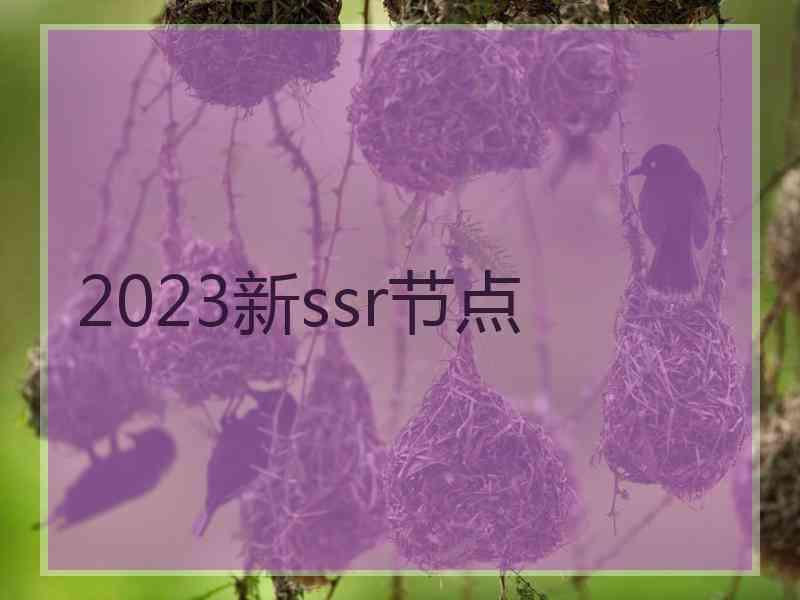 2023新ssr节点