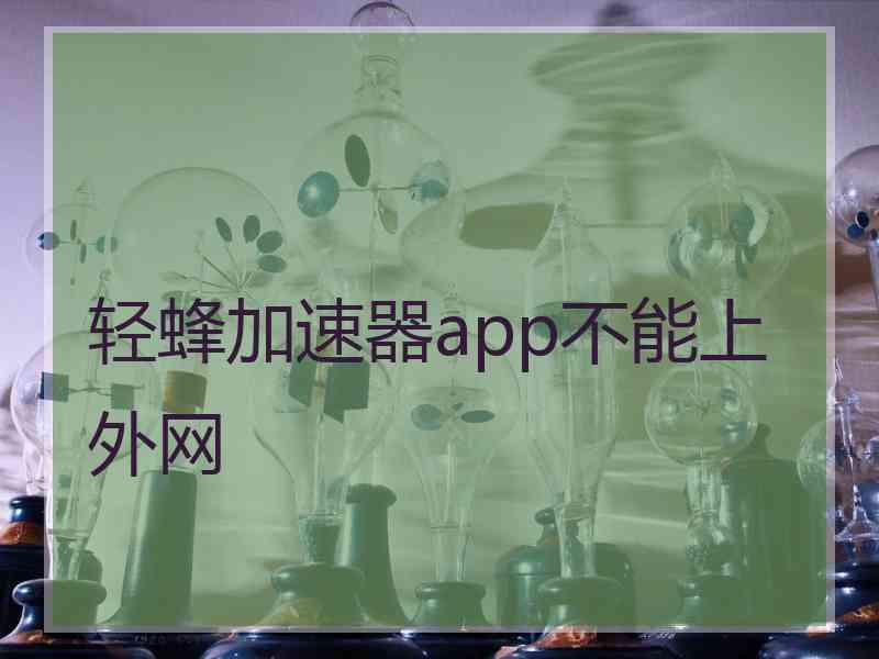 轻蜂加速器app不能上外网