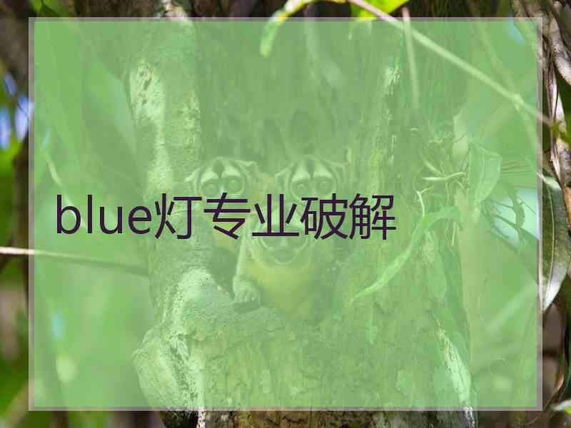 blue灯专业破解