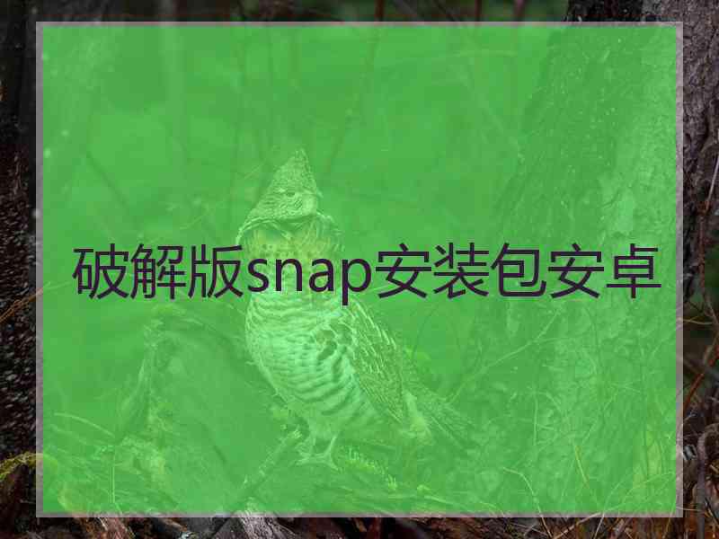 破解版snap安装包安卓