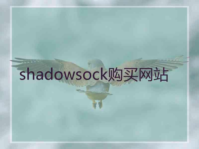 shadowsock购买网站