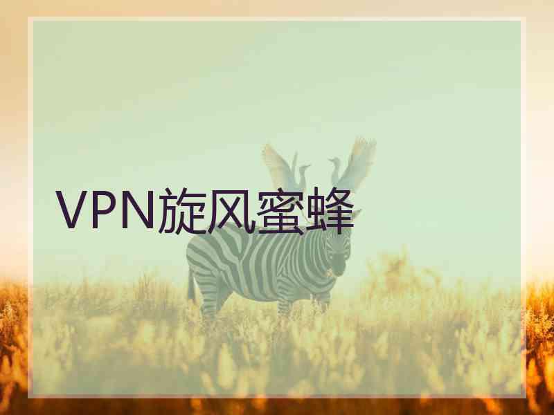 VPN旋风蜜蜂