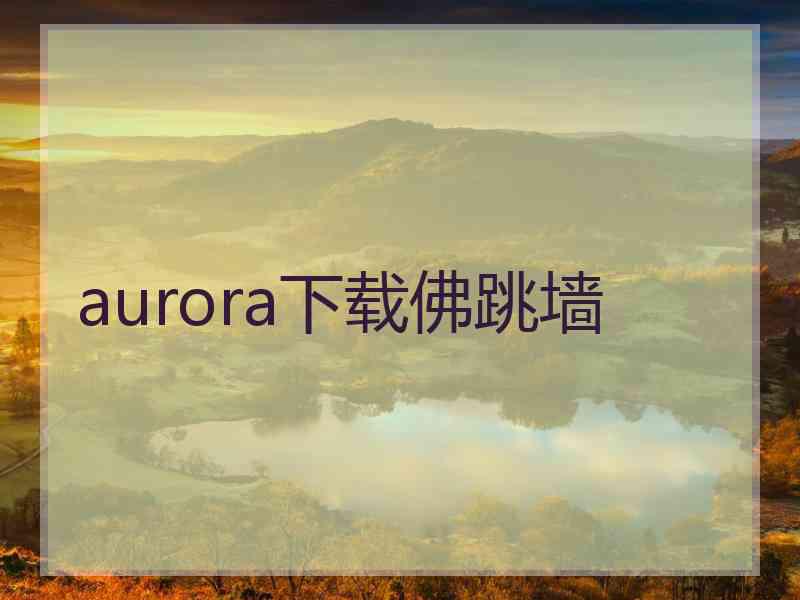 aurora下载佛跳墙