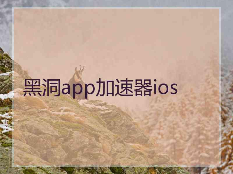 黑洞app加速器ios