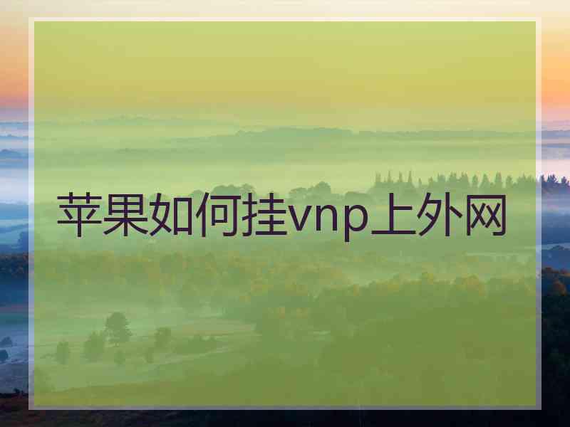 苹果如何挂vnp上外网