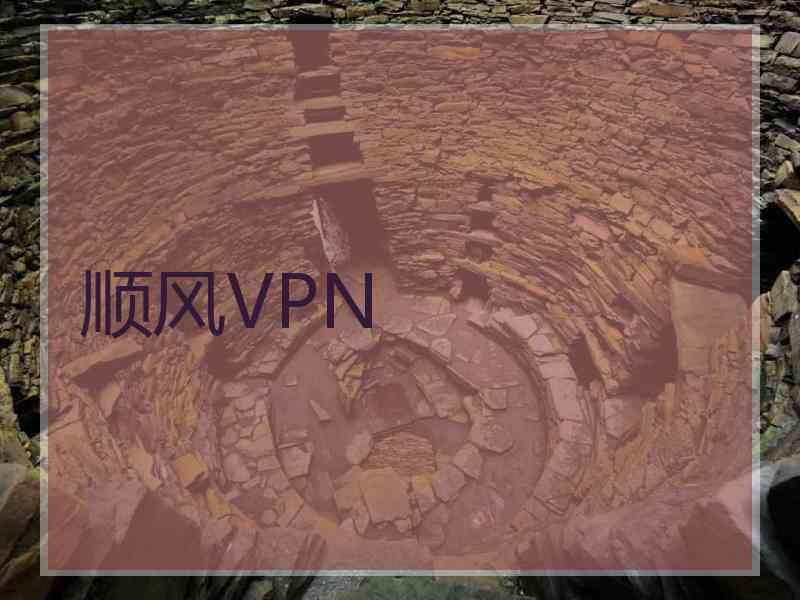 顺风VPN