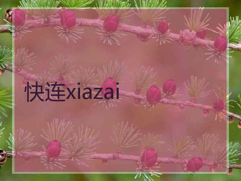 快连xiazai