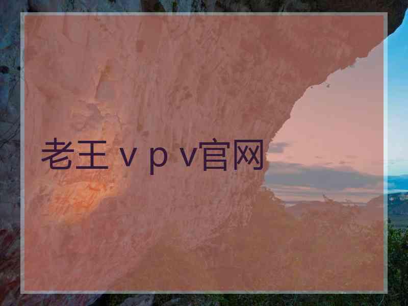 老王 v p v官网