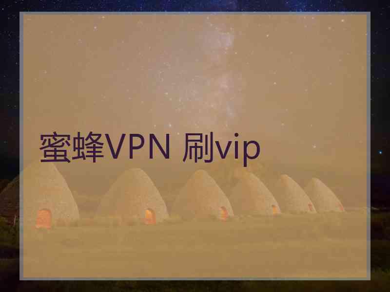 蜜蜂VPN 刷vip