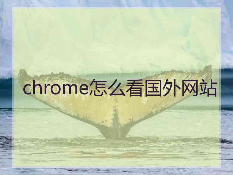 chrome怎么看国外网站