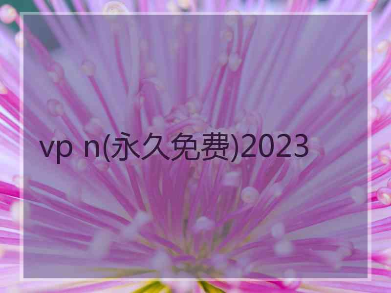 vp n(永久免费)2023