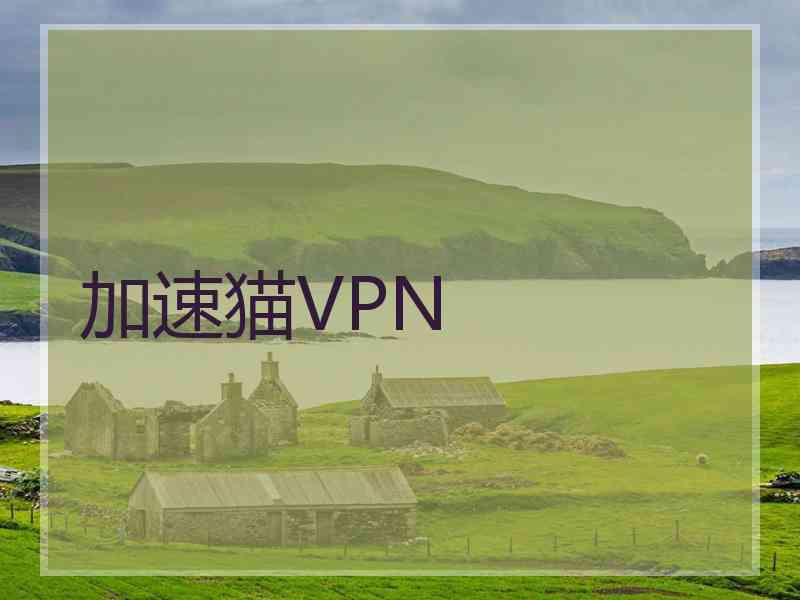 加速猫VPN