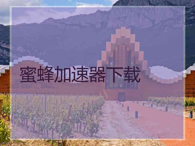 蜜蜂加速器下载