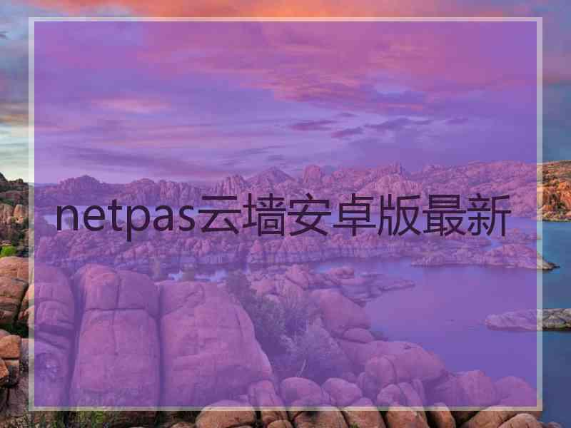 netpas云墙安卓版最新