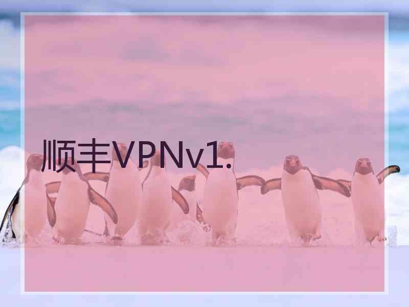 顺丰VPNv1.