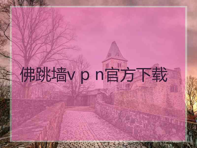 佛跳墙v p n官方下载