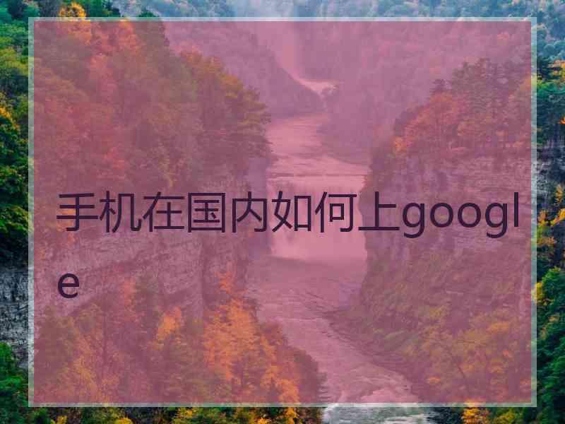 手机在国内如何上google