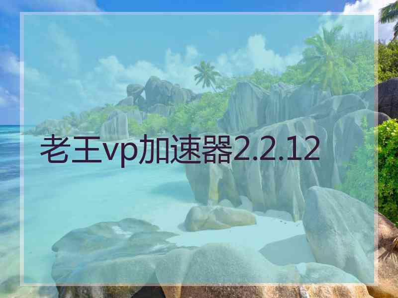 老王vp加速器2.2.12