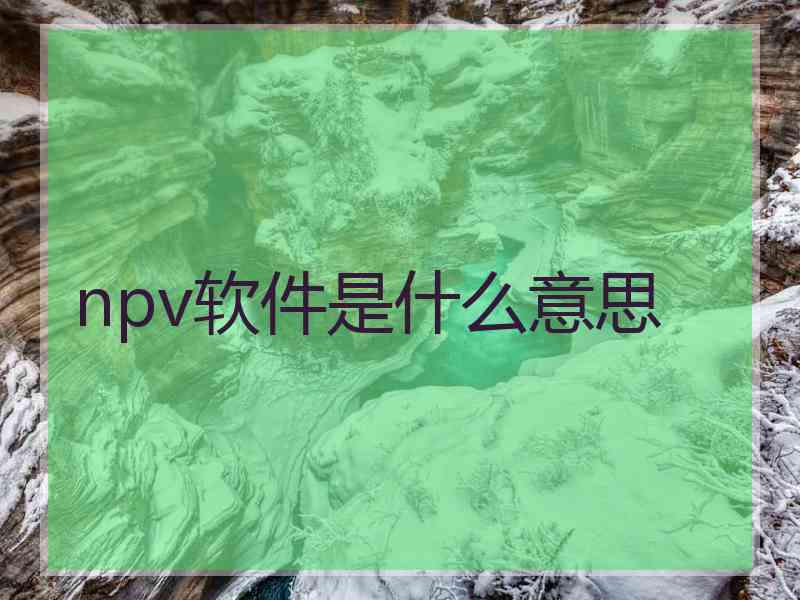 npv软件是什么意思