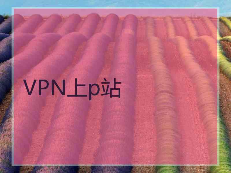 VPN上p站