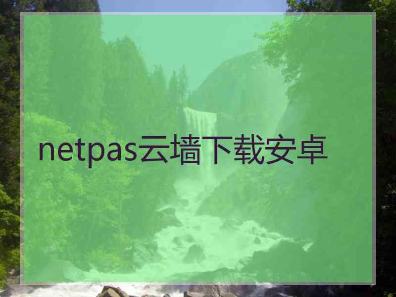 netpas云墙下载安卓