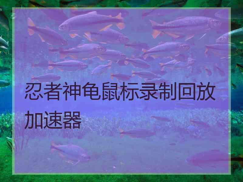 忍者神龟鼠标录制回放加速器