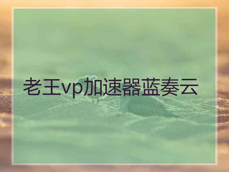 老王vp加速器蓝奏云