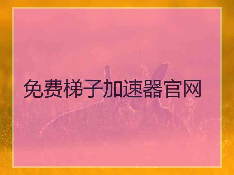 免费梯子加速器官网