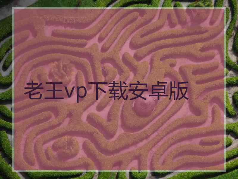 老王vp下载安卓版