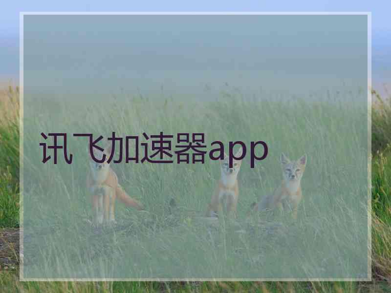 讯飞加速器app