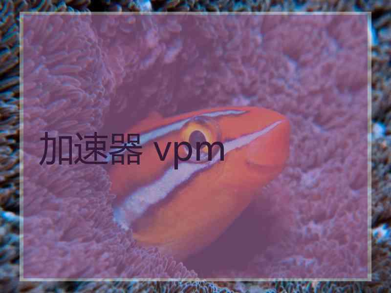 加速器 vpm