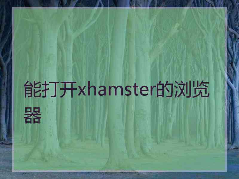 能打开xhamster的浏览器