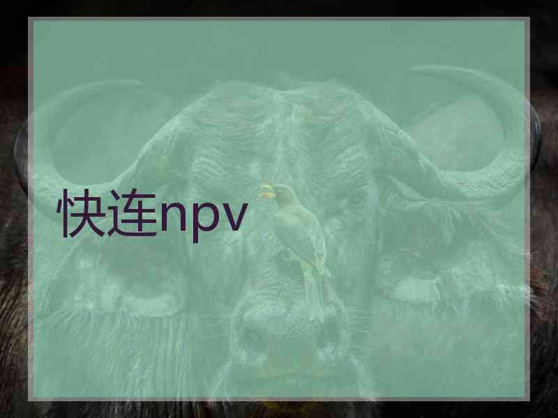 快连npv