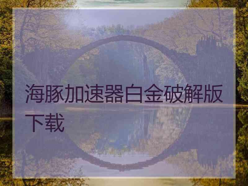 海豚加速器白金破解版下载